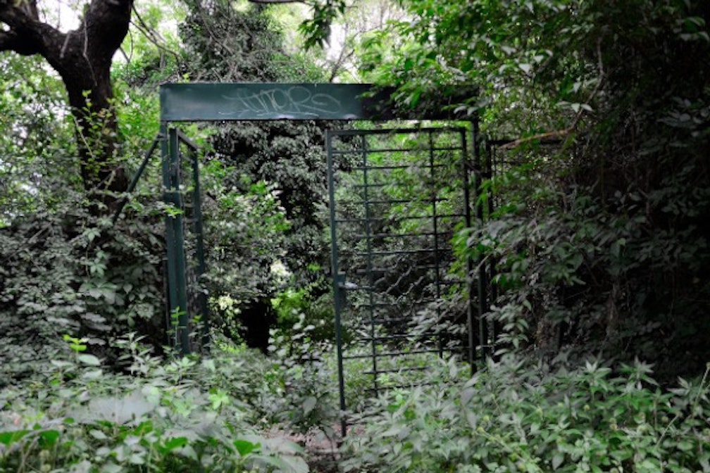 La Banda dei Bandi: Limited Experience