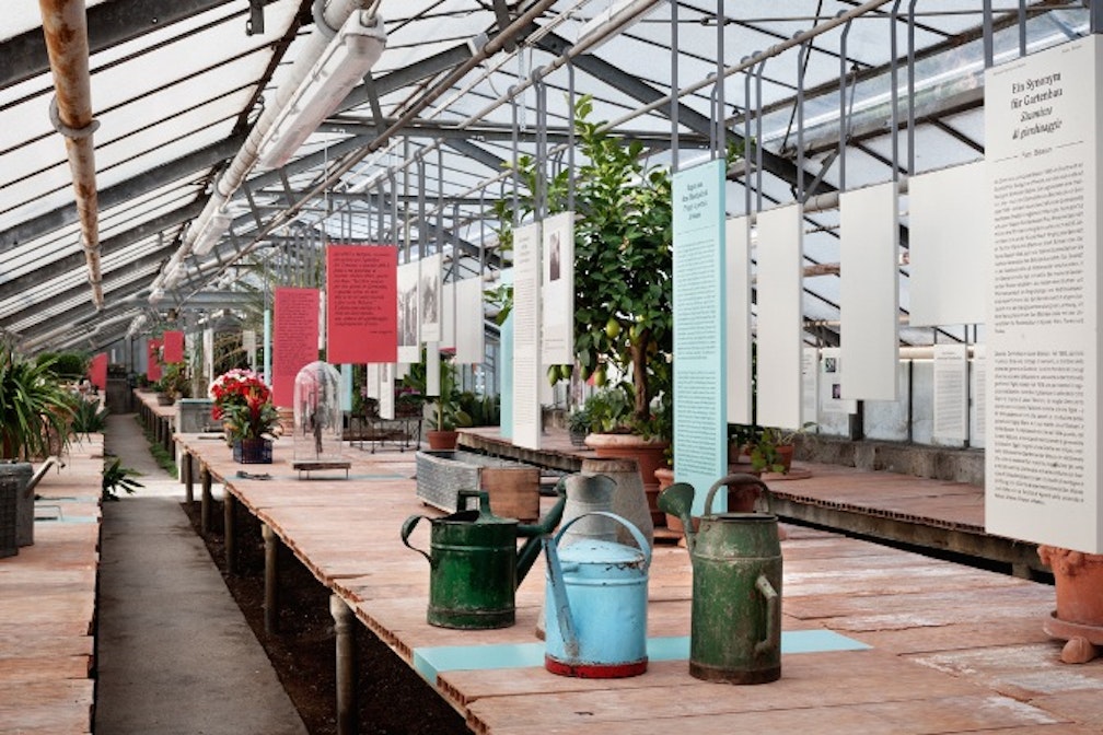 Glashaus: il giardinaggio si mette in mostra alla Giardineria Schullian. Intervista al curatore Paul Thuille