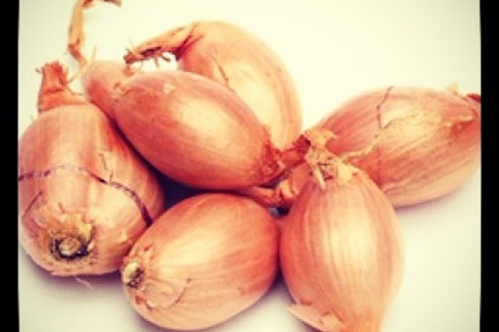 cooking with condito