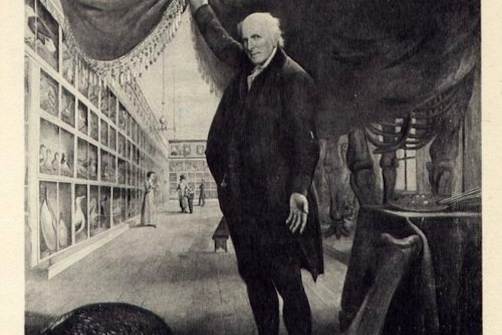 Trento e la sua Wunderkammer