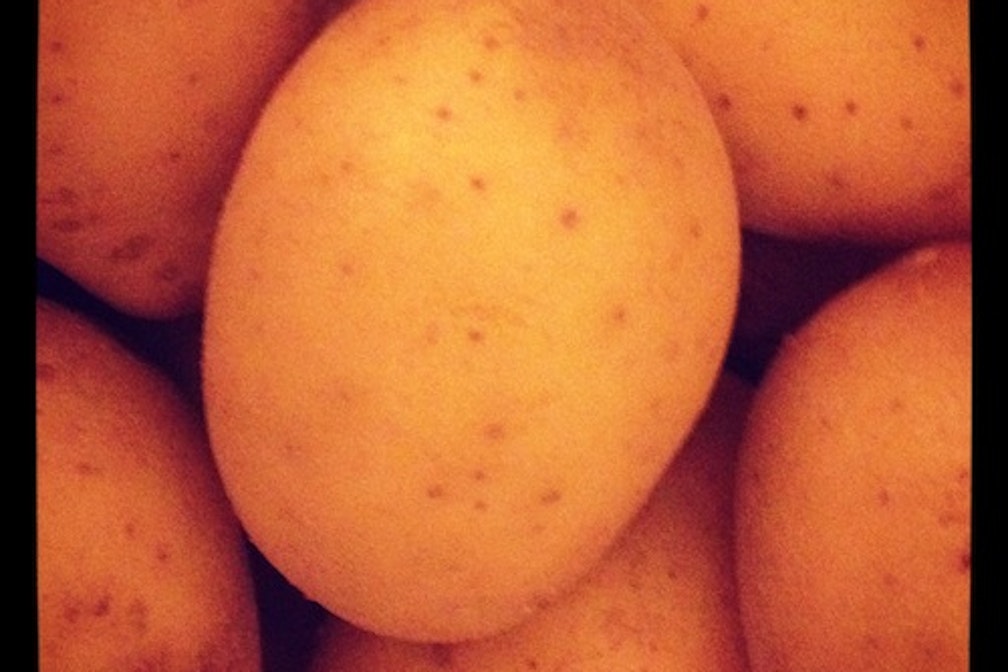 cooking with condito