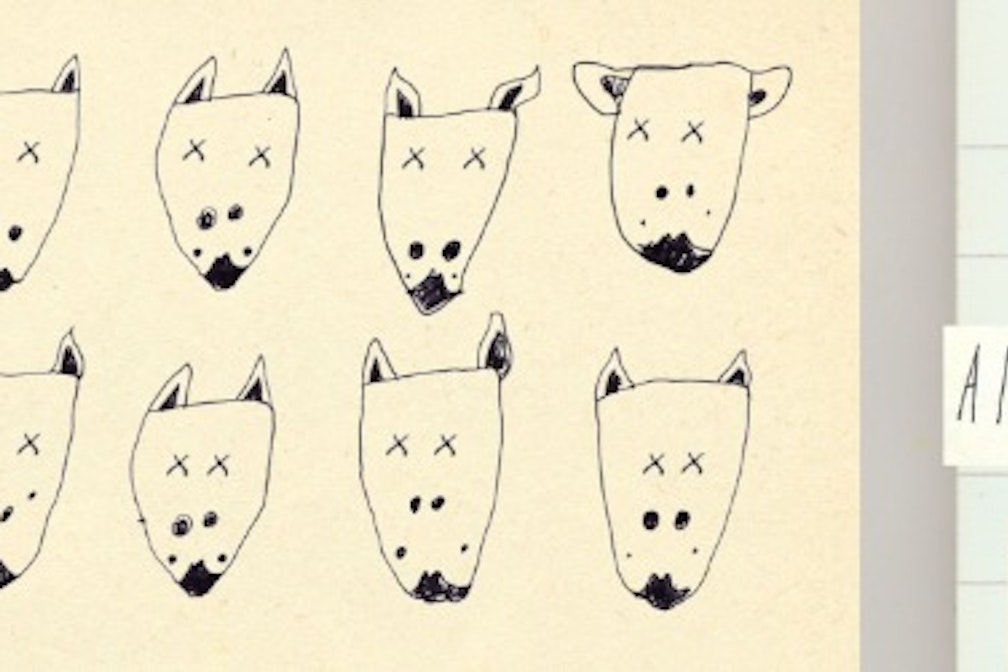 more than apples and cows