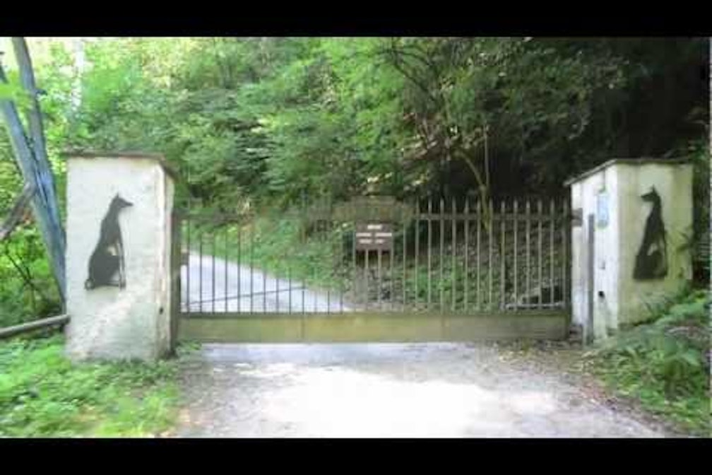 La vera storia di via Virus e dei suoi abitanti