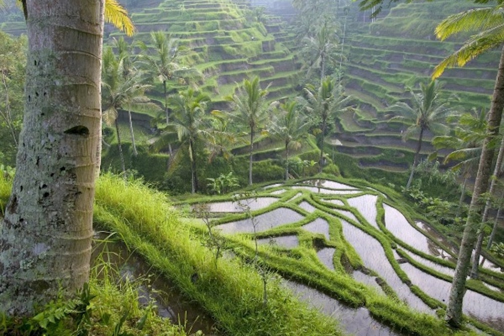 Bali Ubud