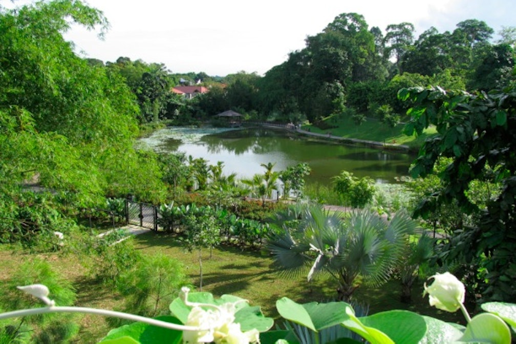 Vi sto scrivendo da Singapore #10: Botanic garden