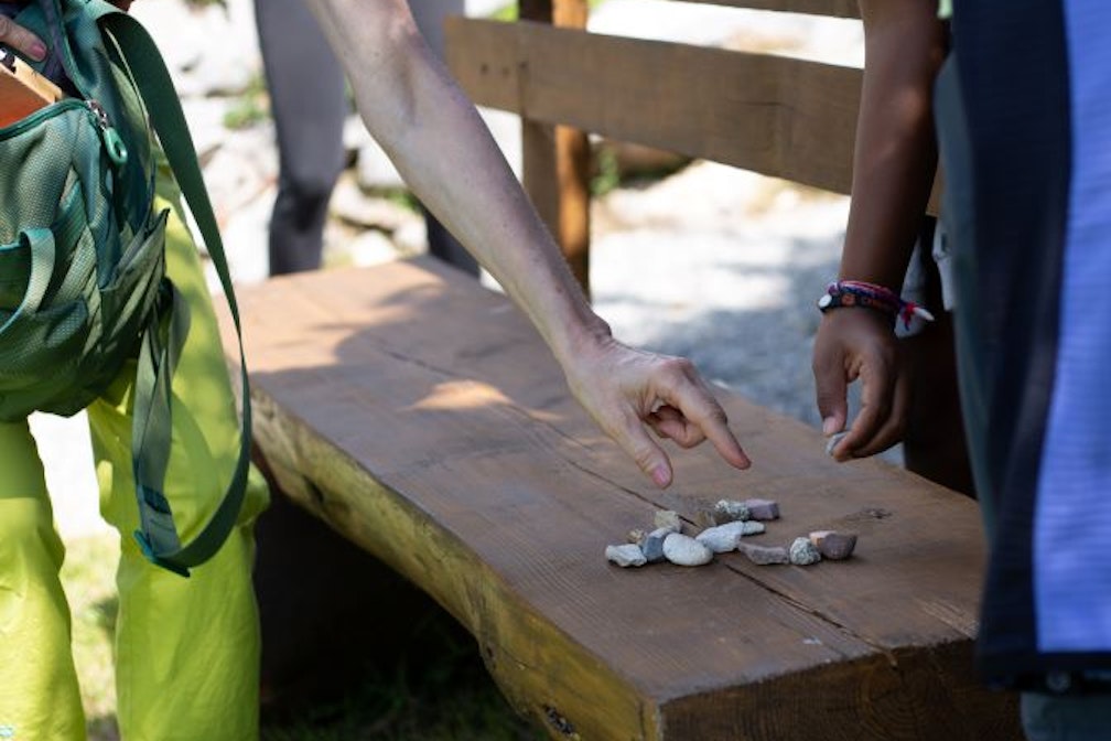 “Ricevi abbondantemente l’energia del bosco”: un bagno di foresta con Anna Molinari