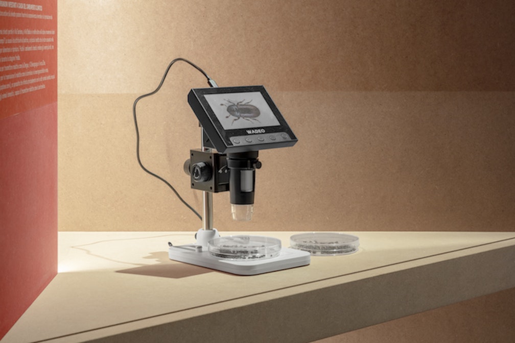 25_MUSEUM_LADIN_Countdown_To_Mass_Extinction_IMG_9044_GUSTAV WILLEIT