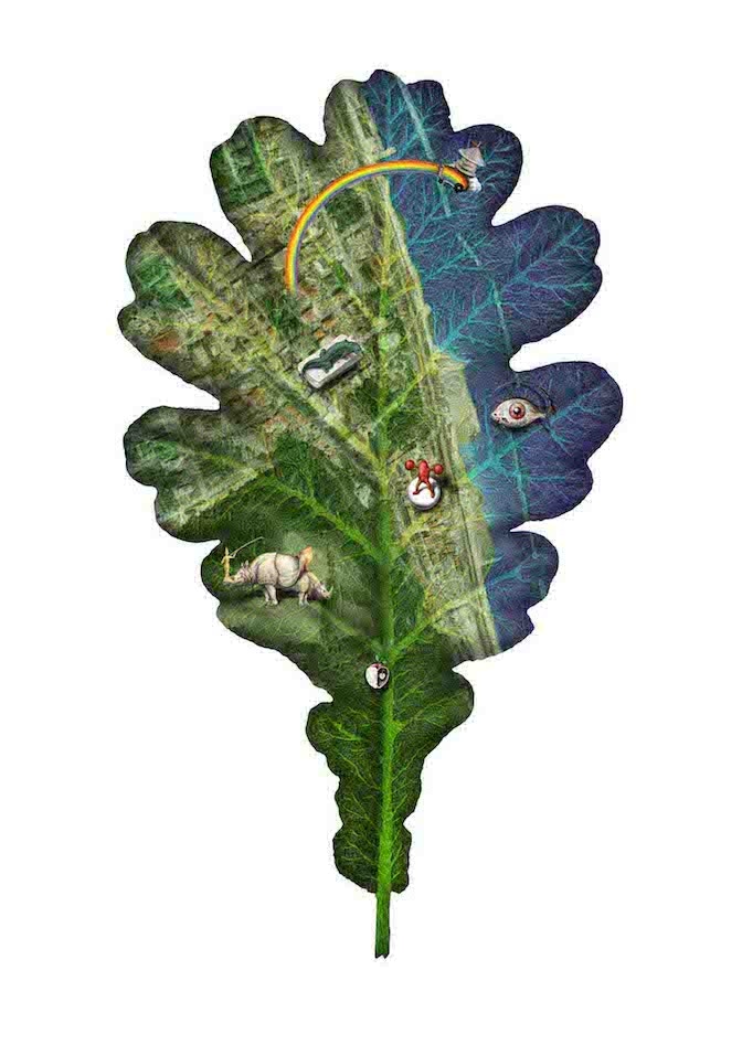 17 Luigi Serafini, Quercus Pedasina, 2010, Courtesy l'artista