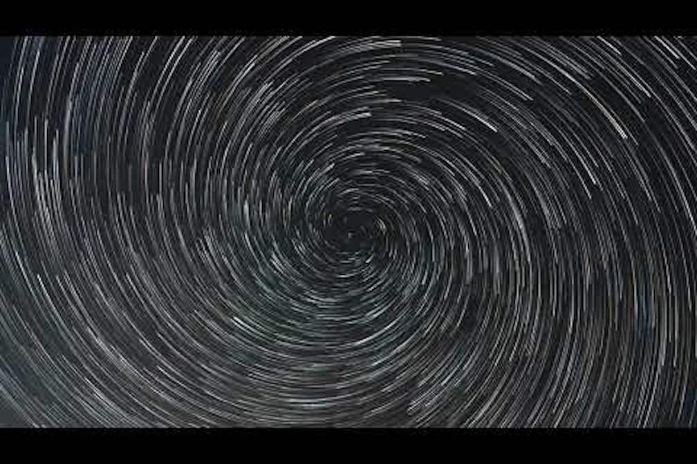 Wie eine Sphäre, in die man eintaucht … Tulpenkind