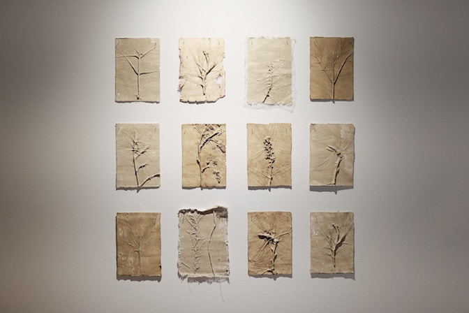 2024-HORTUS-mostra_065-1665