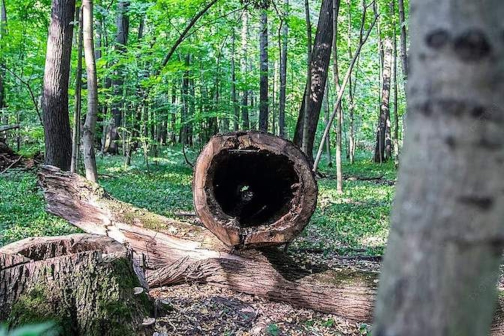 Simposie Toni Gross VÖIT (c) Pierangelo Giacomuzzi