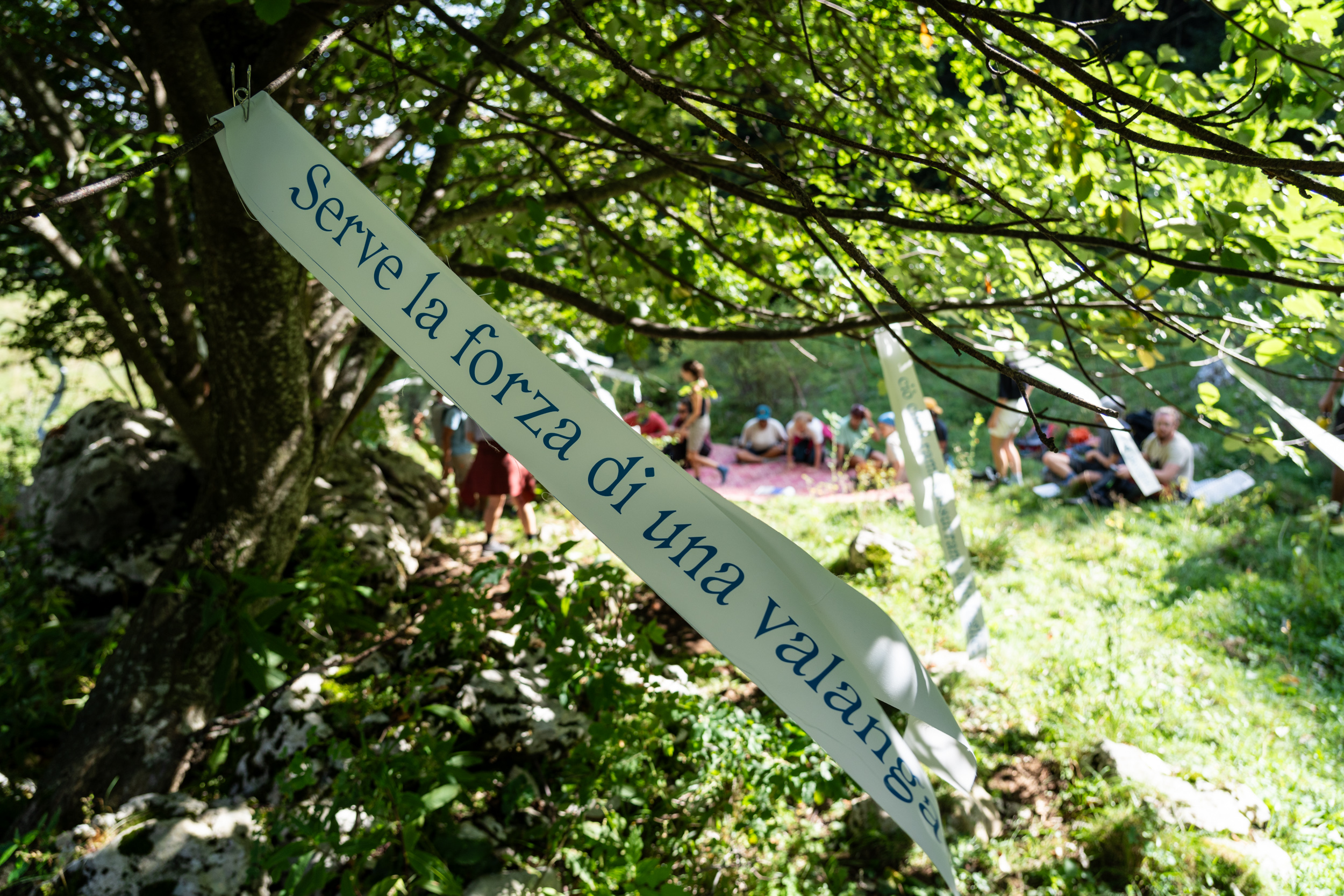 Spazi di Narrazione nelle Terre Alte