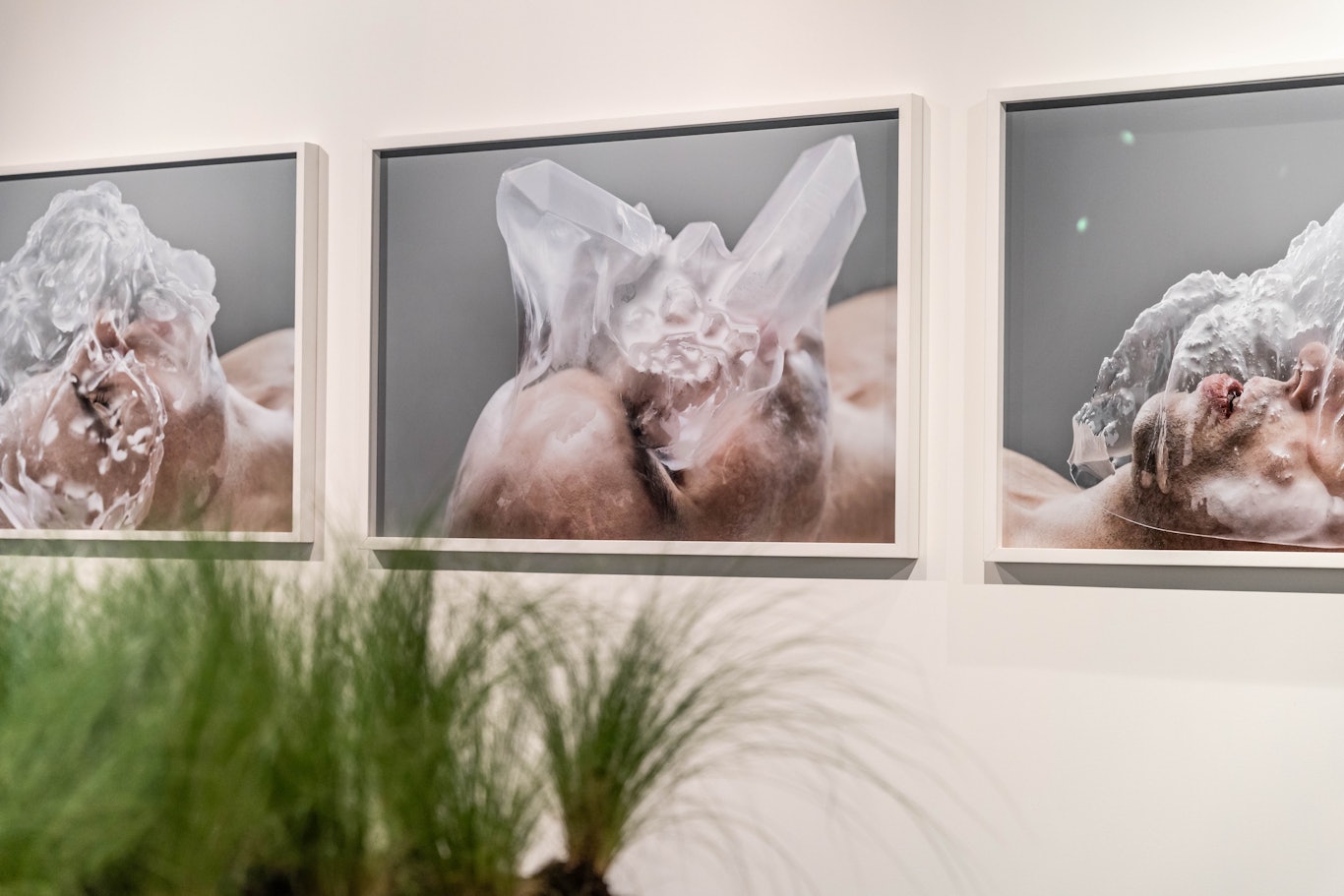 The Mountain touch, Archivio MUSE – Museo delle Scienze, foto Matteo De Stefano