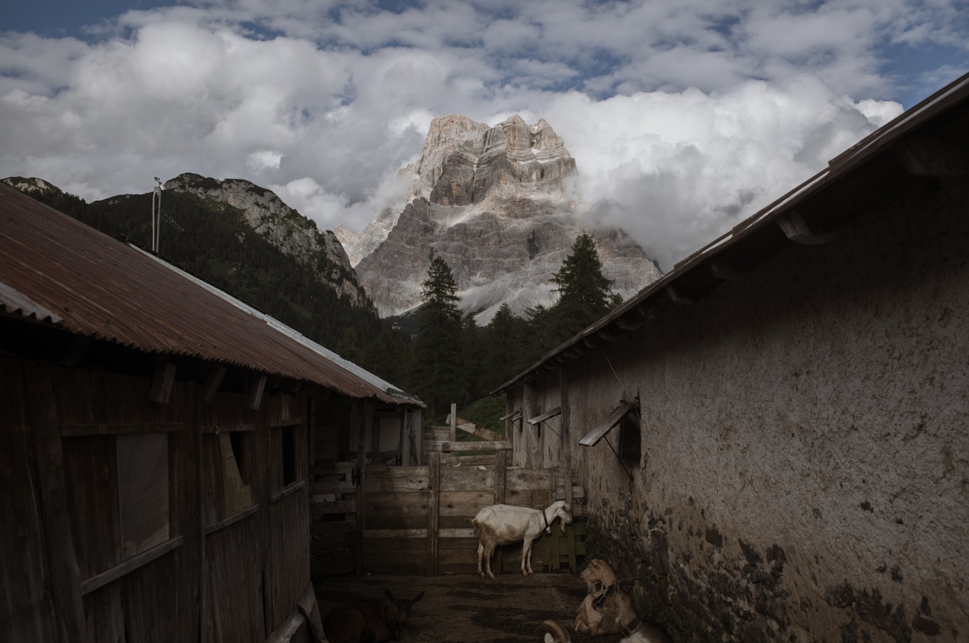 © Alessandro CInque