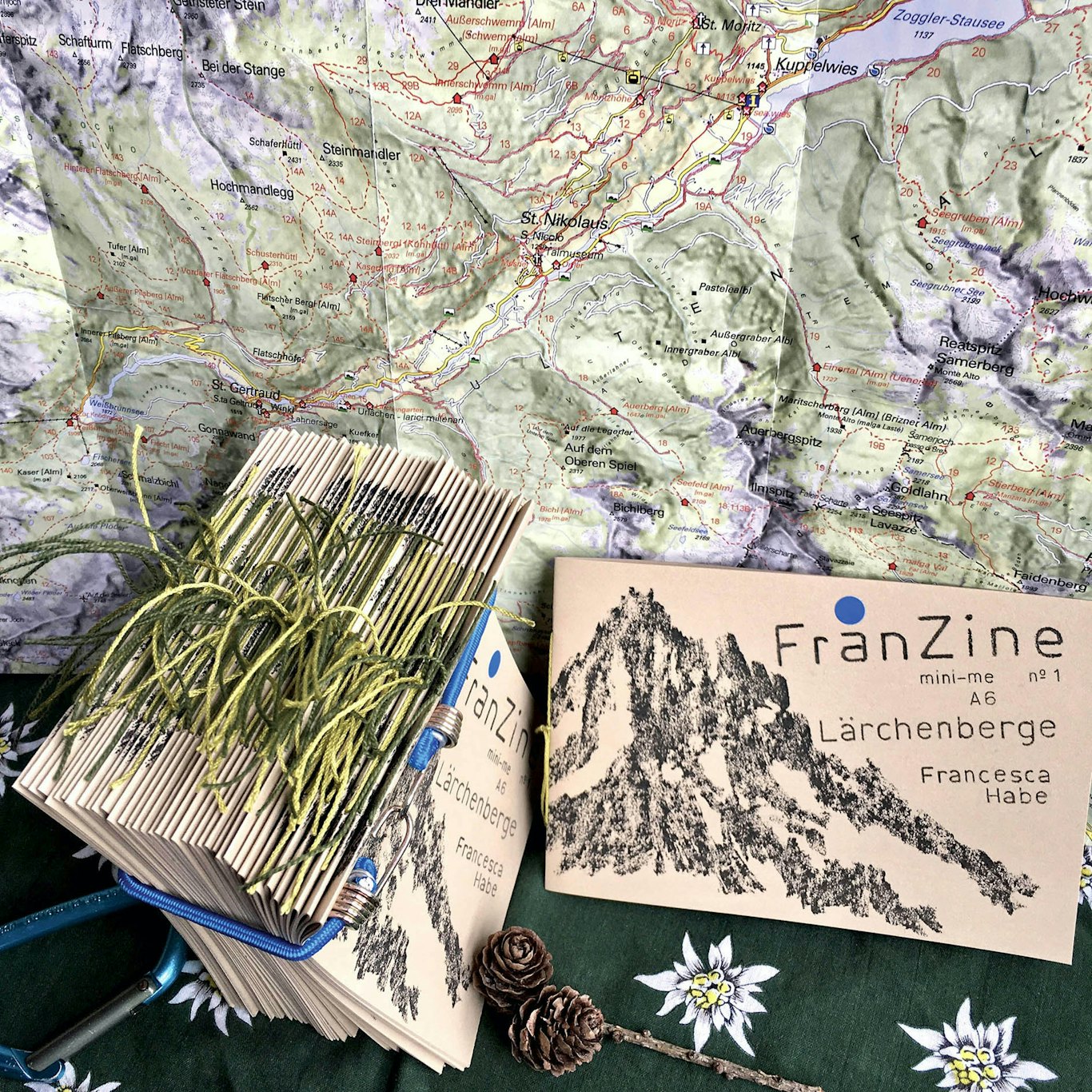 FranZine mini-me A6 n°1, Francesca Habe Lärchenberge (c) Francesca Habe