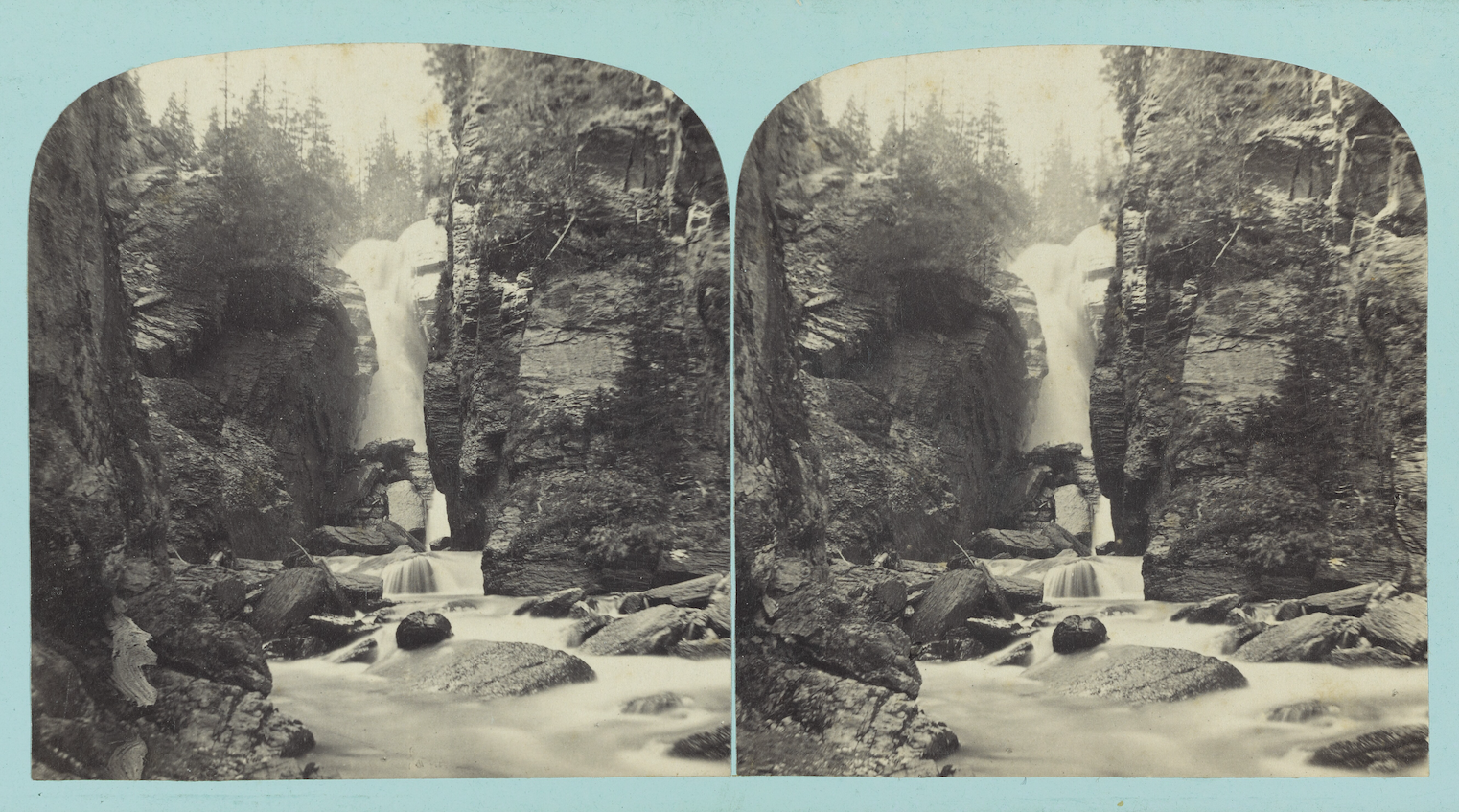 Verdeincanto o del canto segreto delle Salighe