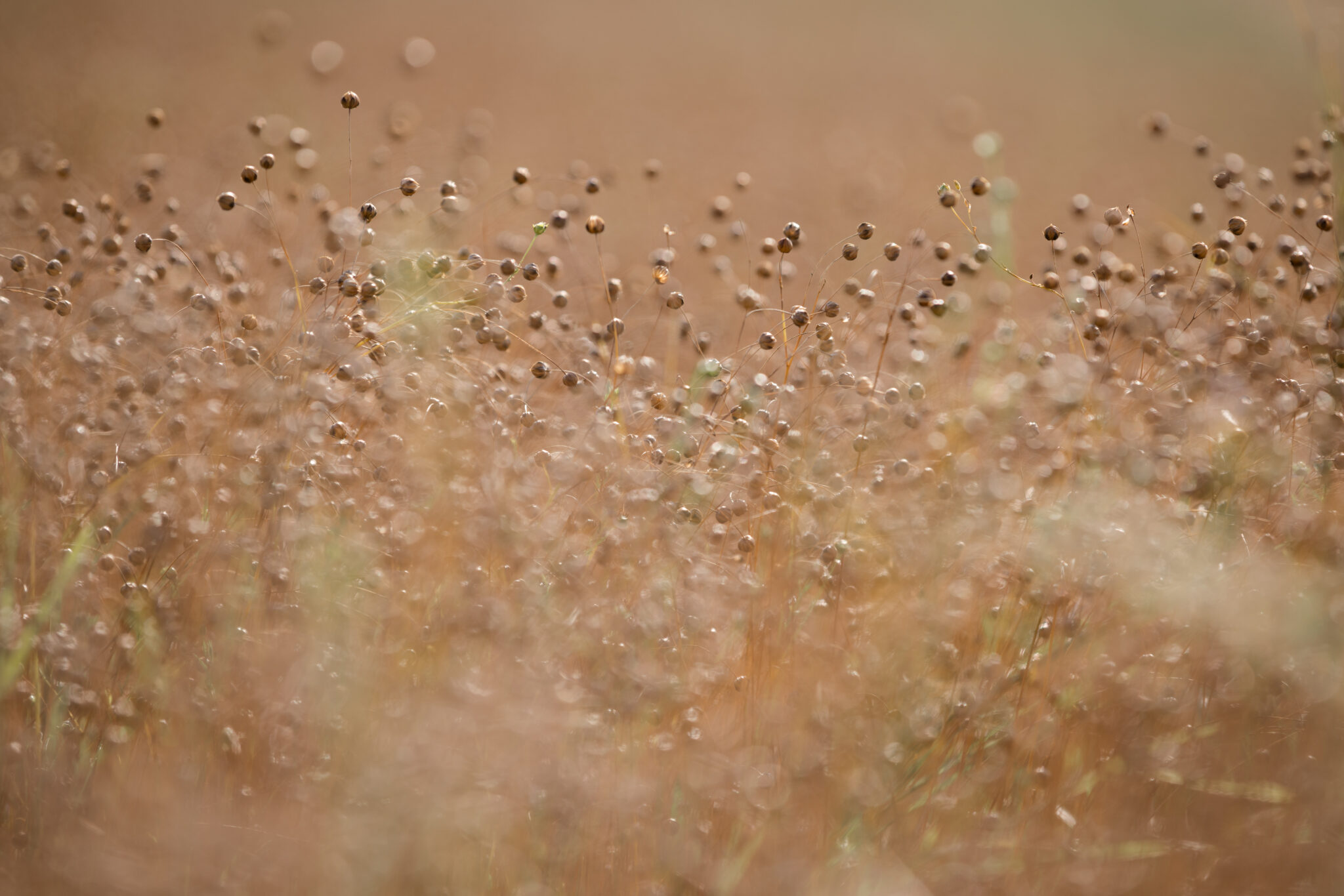 Ist Slow Fashion zu langsam?