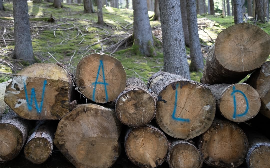 La Banda dei Bandi: Open Call BAU Residency 2026