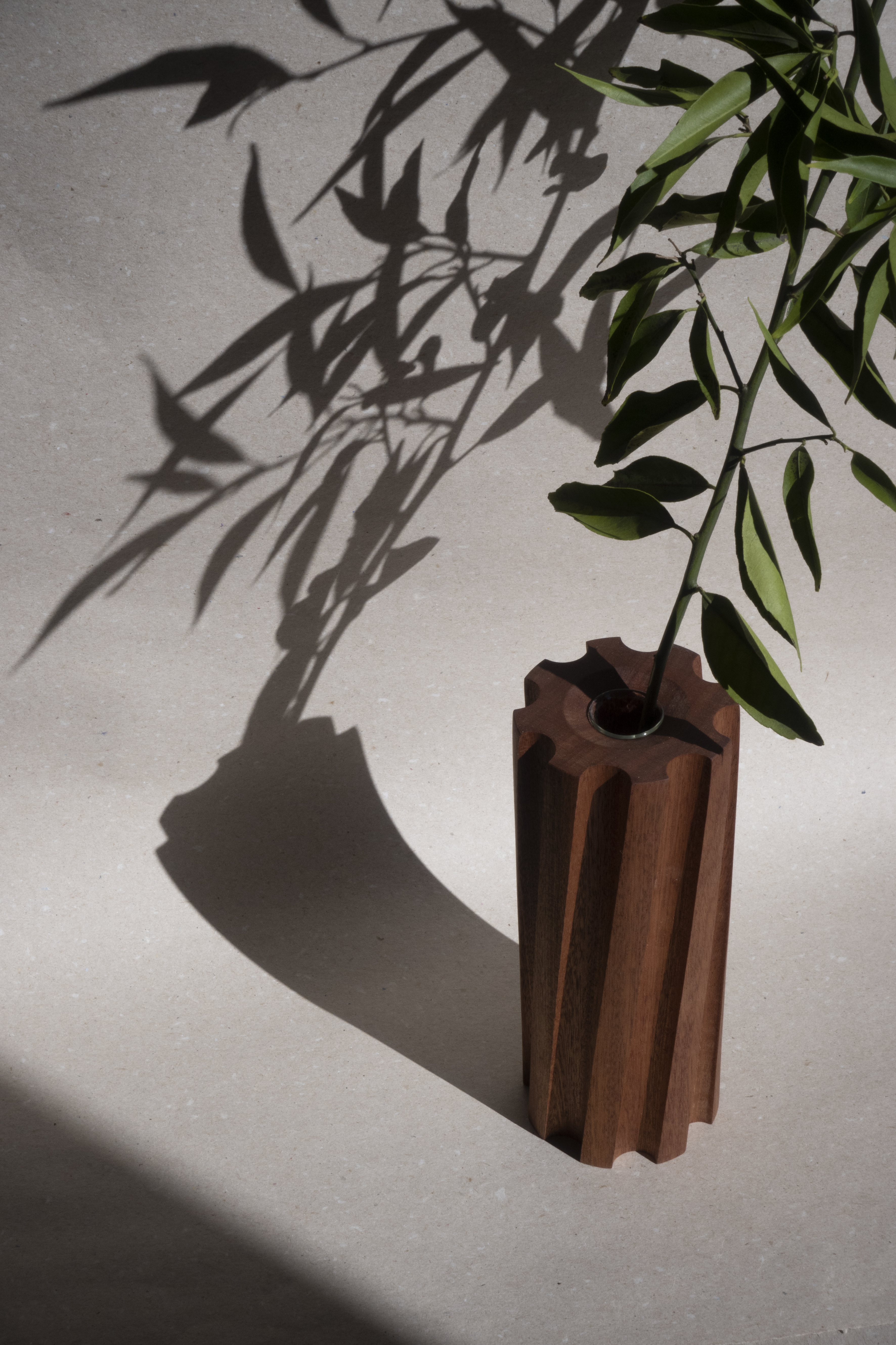 insalata-mista studio 