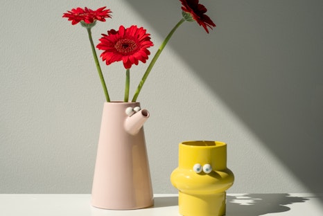 Lucas Zanotto, © Home Studyo Lucas Zanotto