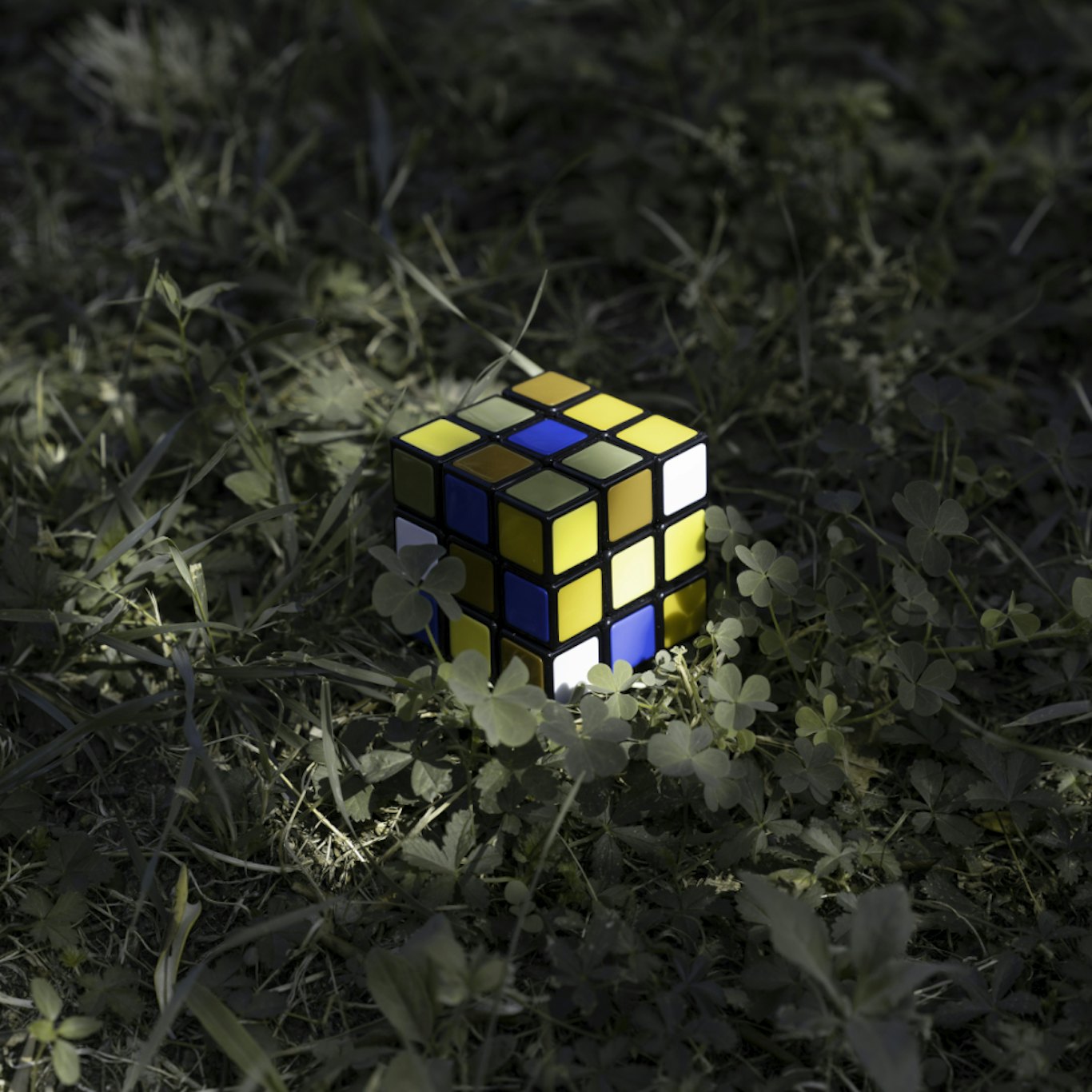 Chromatic Alterations, © Viviana Perghem/Camilla Poli