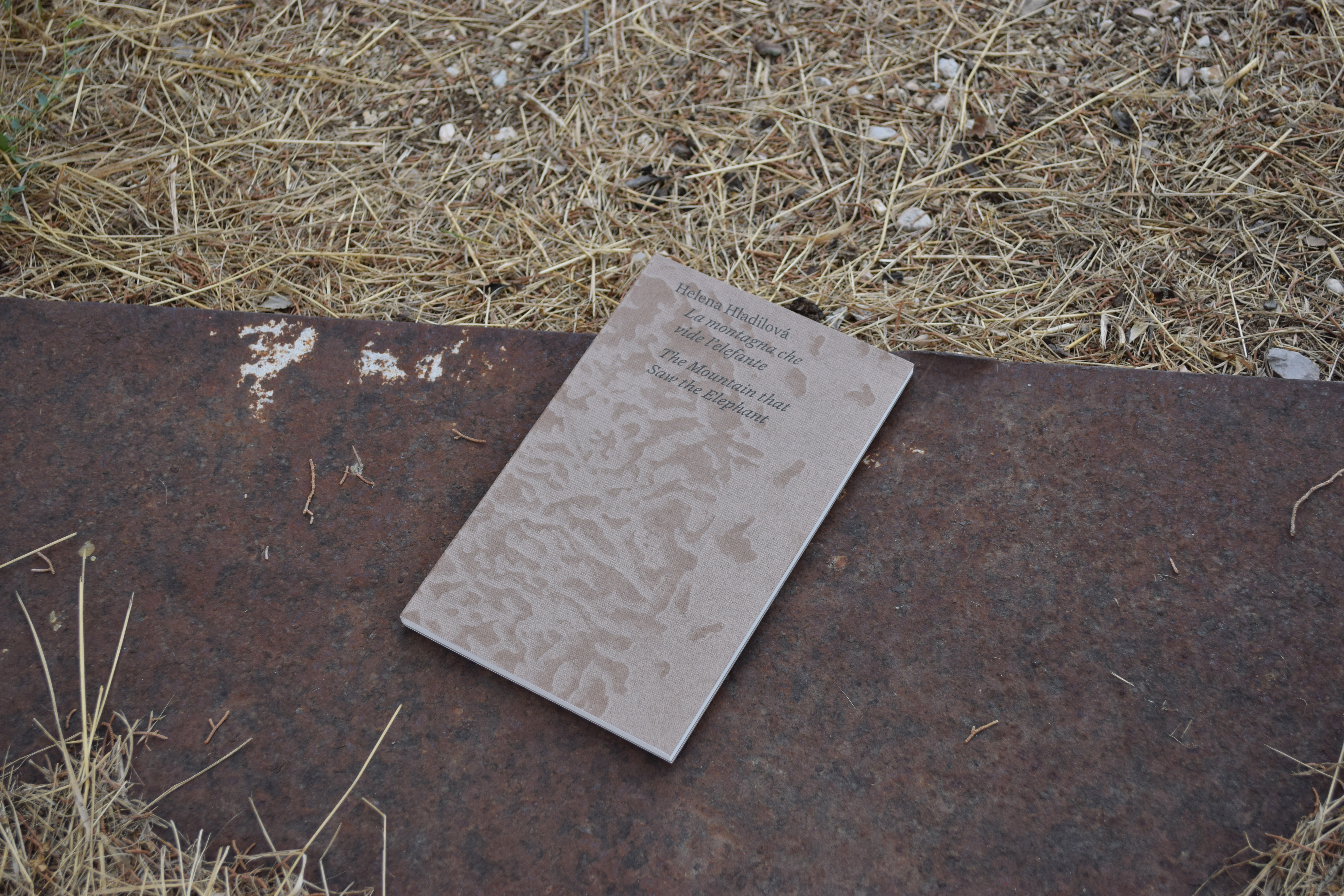 Books, I’ve never read: “La montagna che vide l’elefante”, Helena Hladilová  x Viaindustriae 