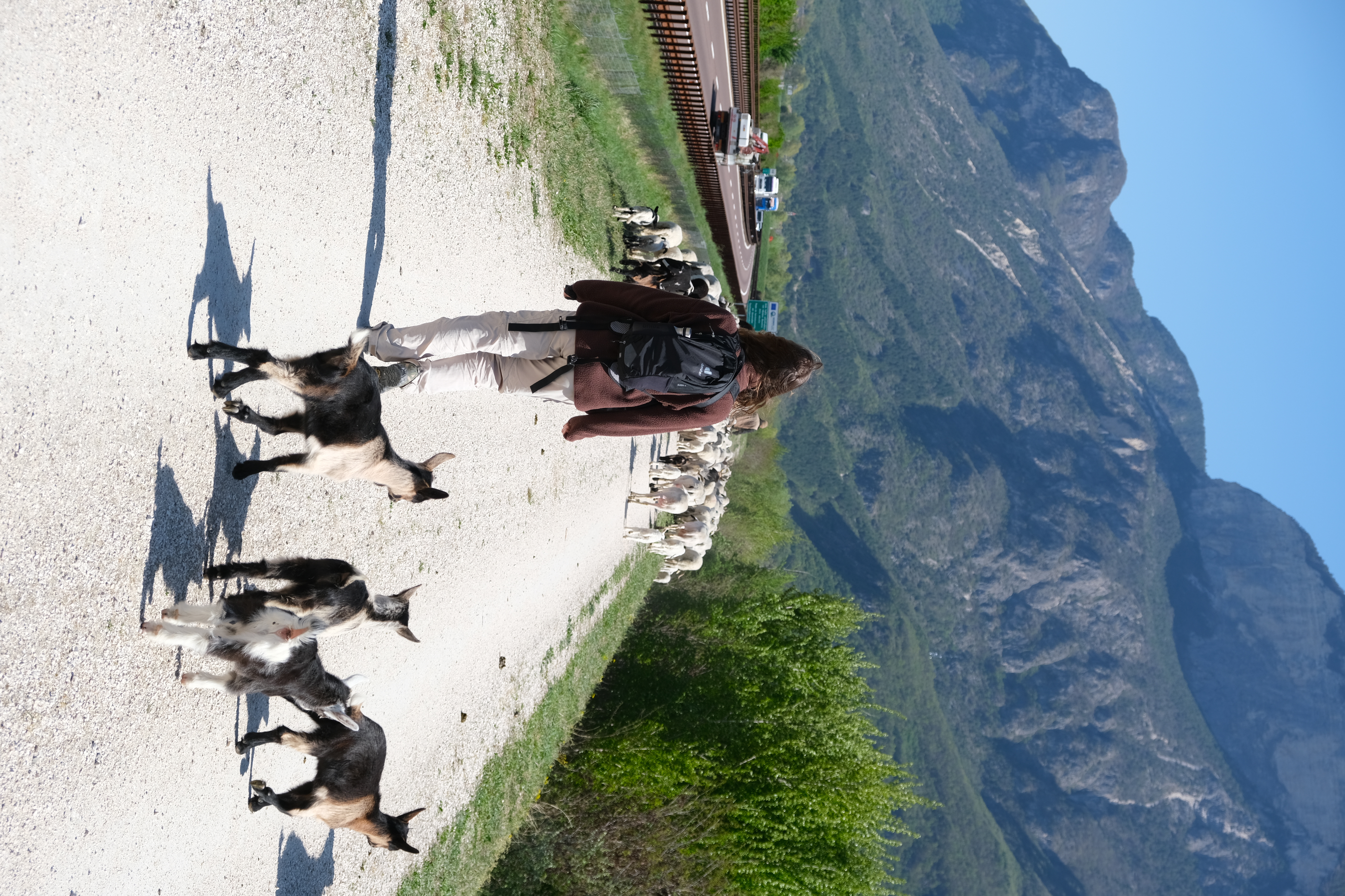 Guardians of the Mountains racconta i pastori contemporanei 