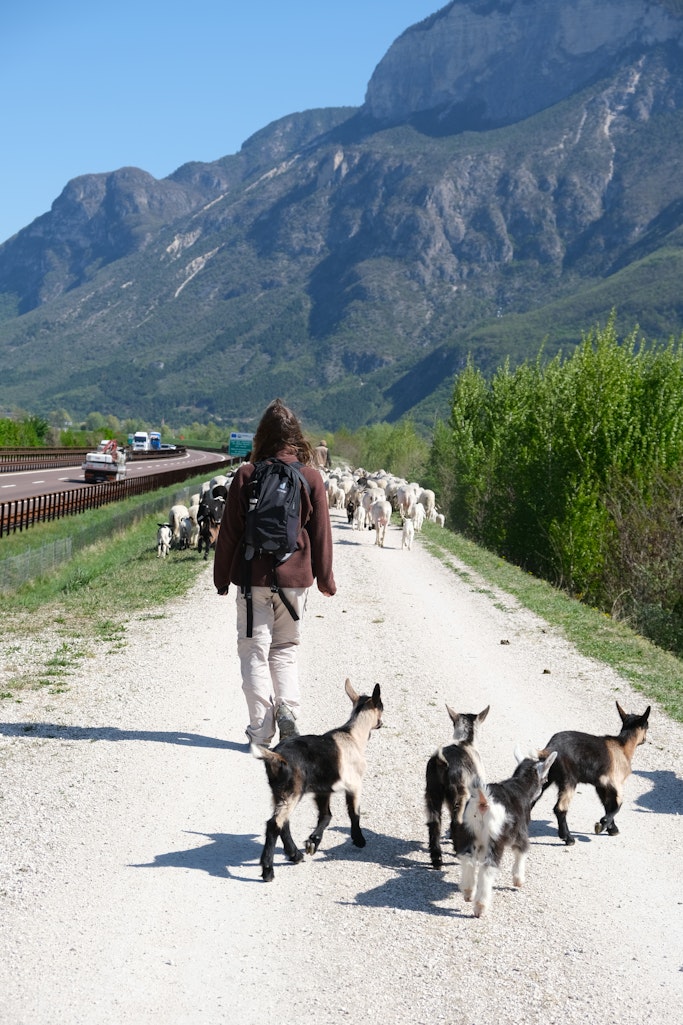 Guardians of the Mountains racconta i pastori contemporanei 