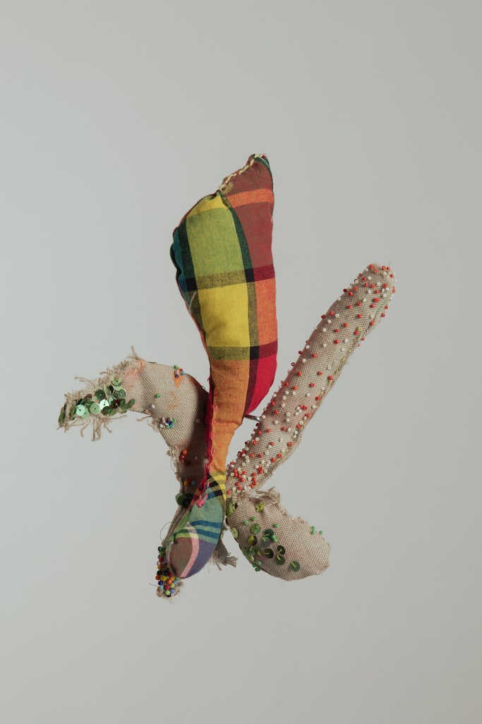 Johanna Strachwitz – We Go Where We Never Belonged