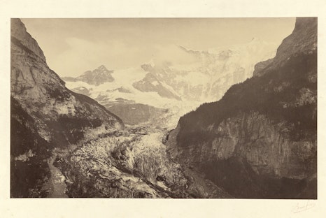 © rawpixel La Saliga e l’ultimo quarto di Luna del Lupo