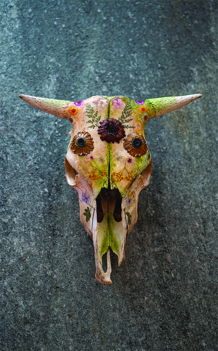 Alexa Baldessari: rileggere la tradizione attraverso la materia