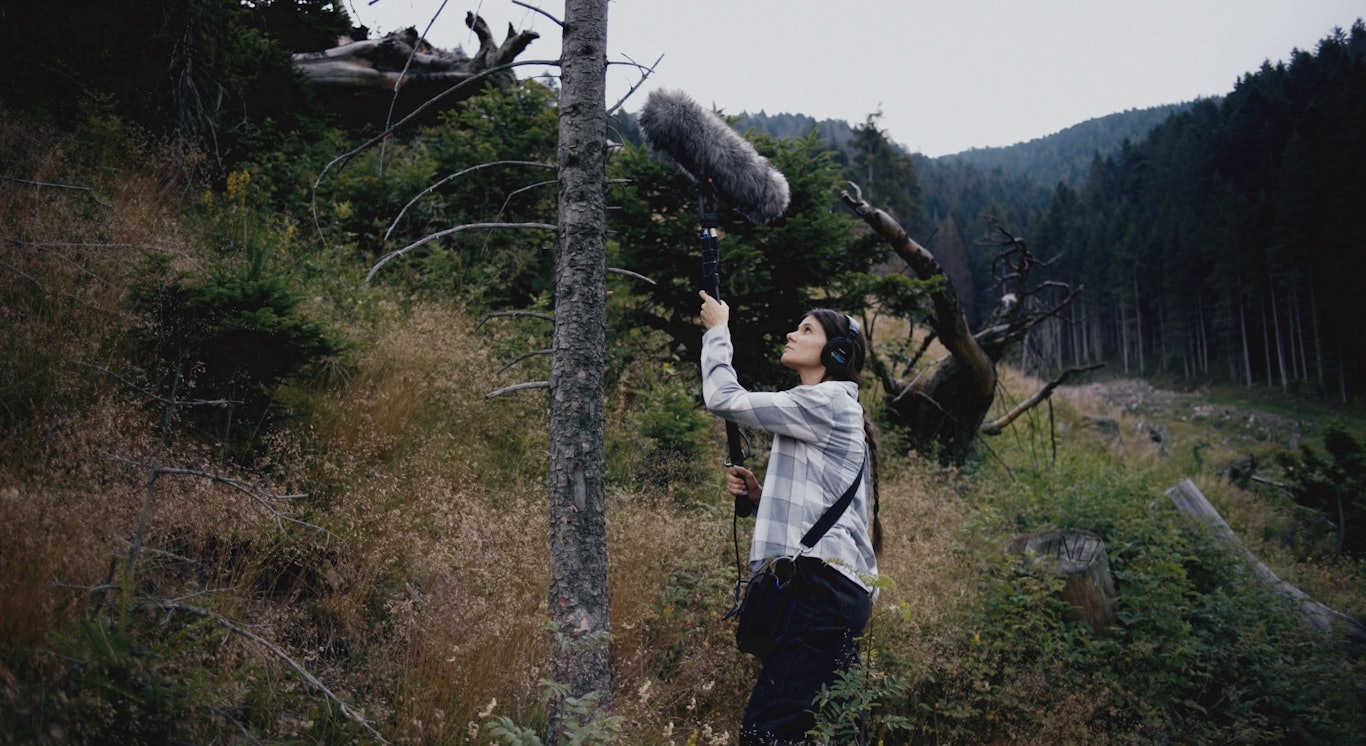 © Il lamento degli alberi