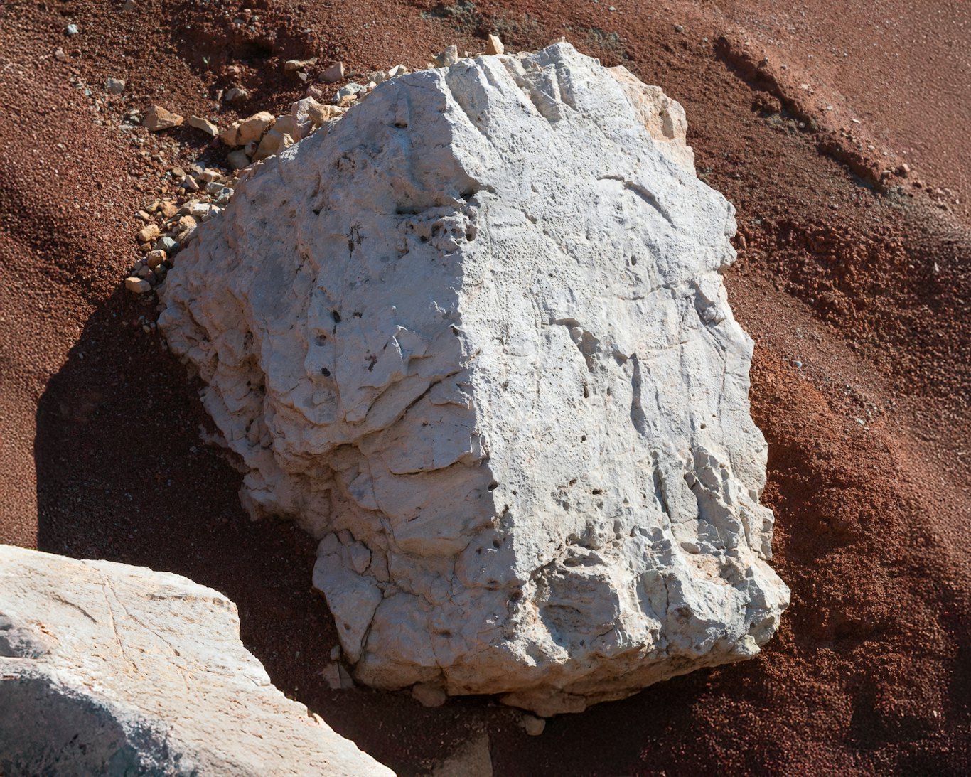 © Filippo D’Eugenio