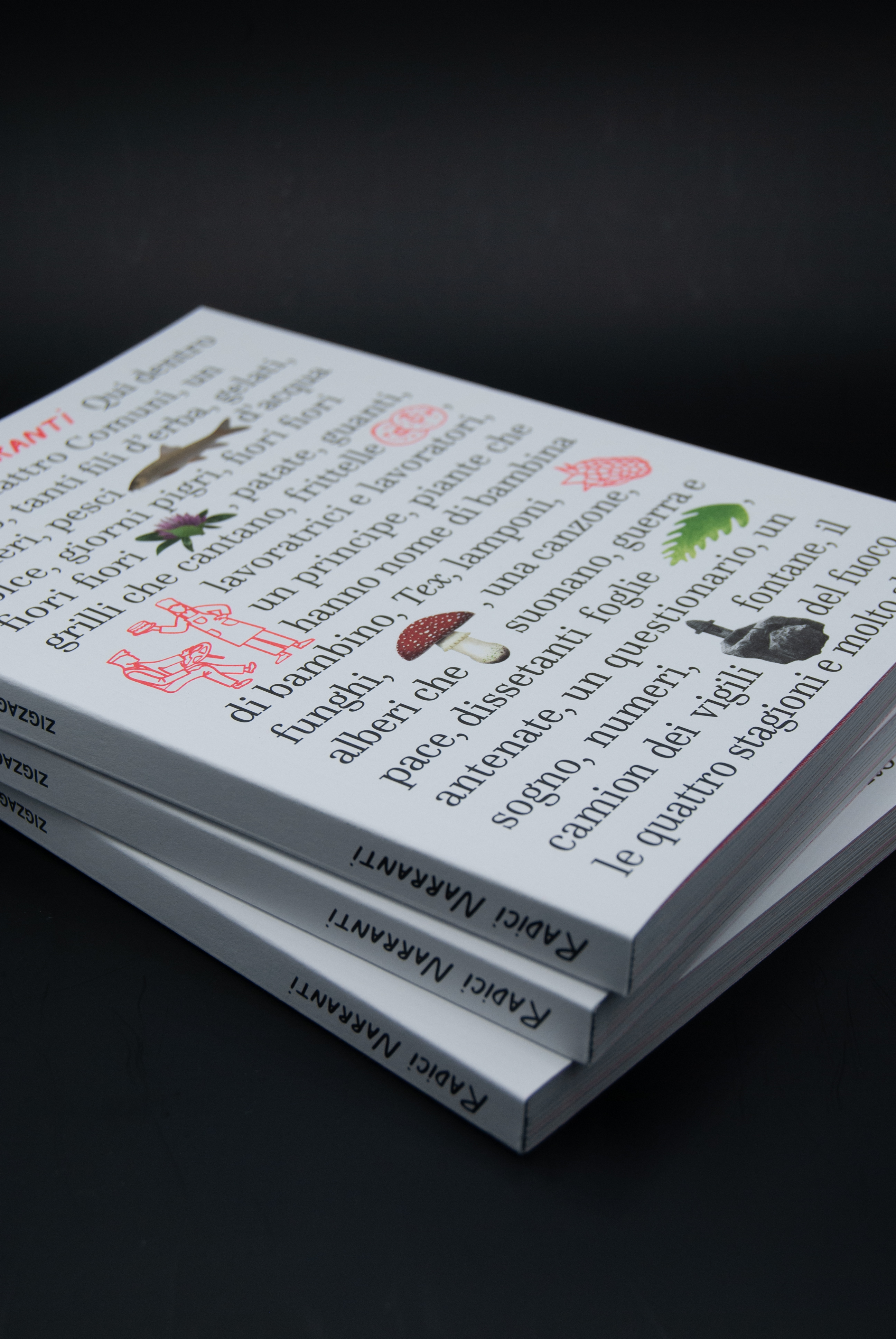 Books, I’ve never read: “Radici Narranti. Zigzagando in Alpe Cimbra e Vigolana” 