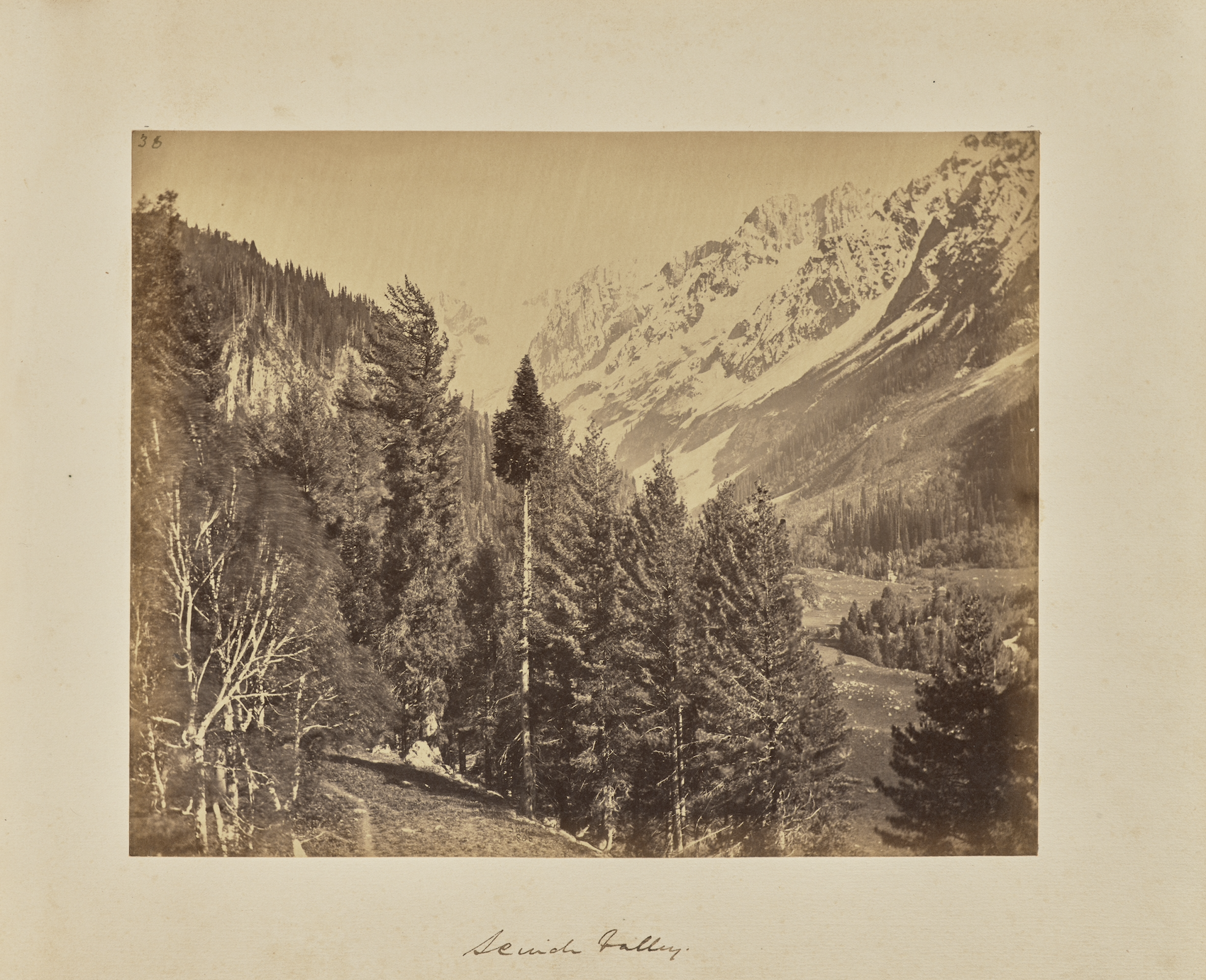 Sasciëda o di Moltina nella pietra viva