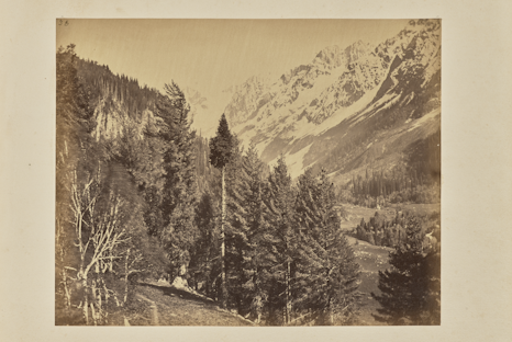 © John Edward Saché Sasciëda o di Moltina nella pietra viva