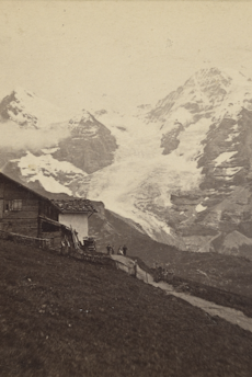 © Adolphe Braun Genealogie di Fanes nella Luna Piena delle Gemme