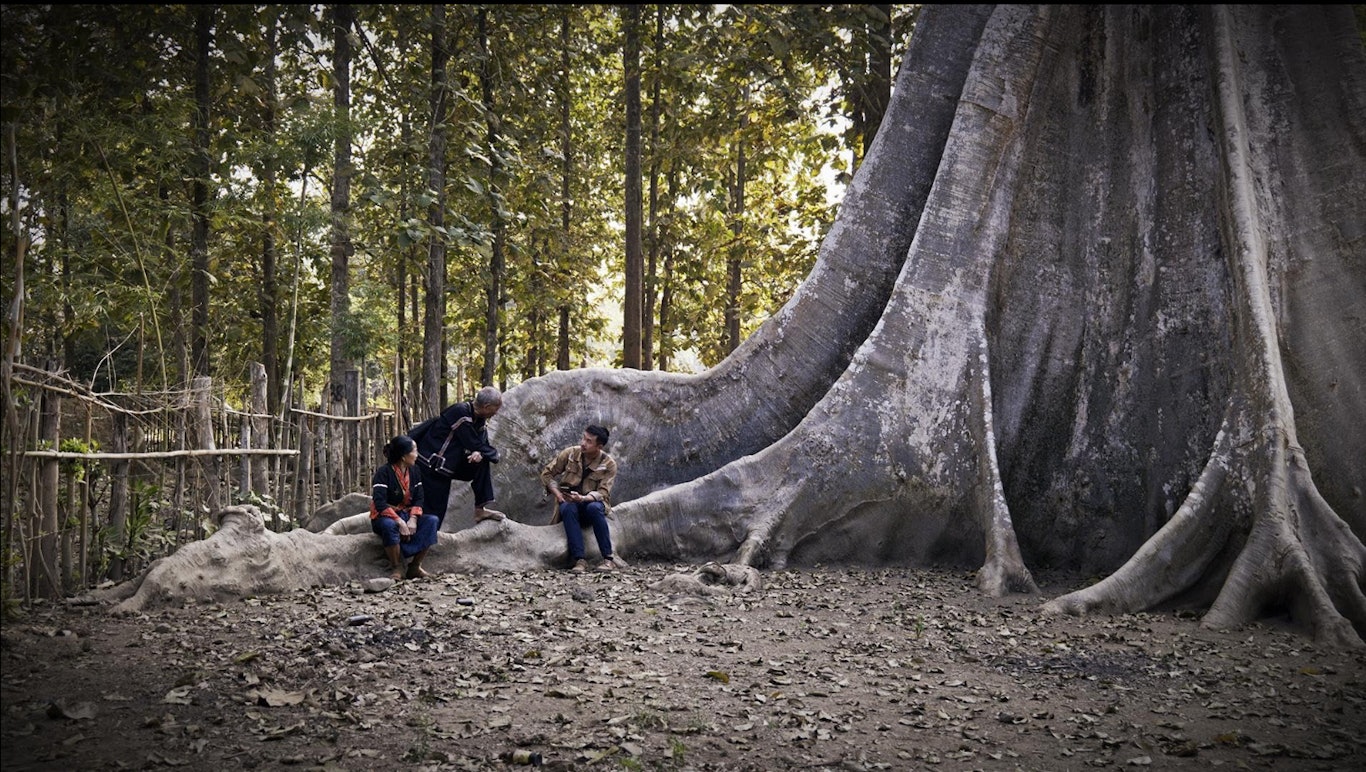 The Guardian of Stories, © Markus Steiner Ender