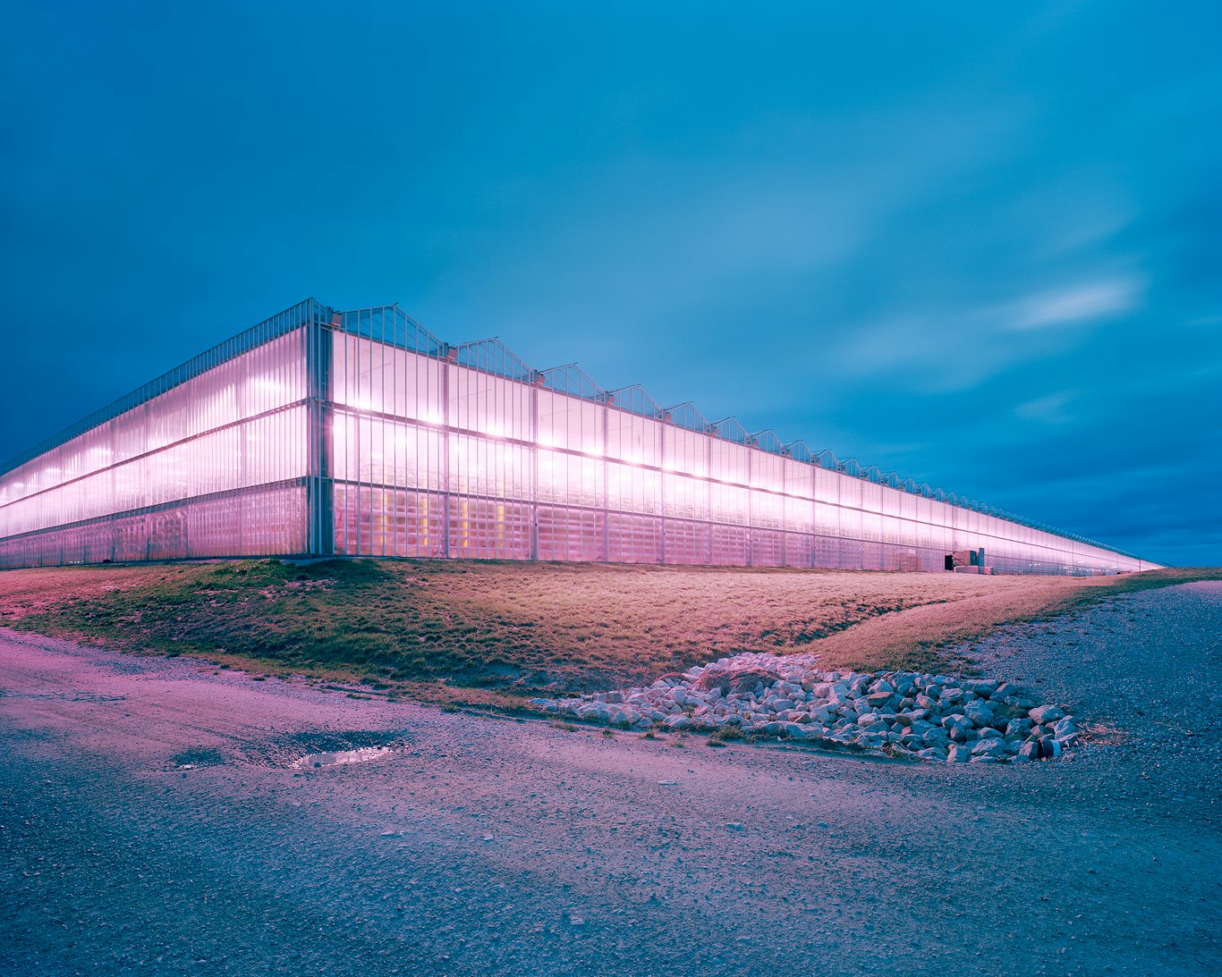 Cockaigne Hydroponic Greenhouse USA, 2023, © Gregor Sailer