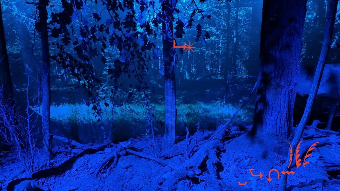 Aktuelle Ausstellung im Kunstpavillon: „Landschaften der Unruhe: Körper, Erinnerungen, Aufstand“, 22.05.–01.08.2026, Bita Bell, Kandis Friesen, Jeanna Kolesova, Olia Sosnovskaya, kuratiert von Barbara Mahlknecht, © Olia Sosnovskaya, Białowieża Forest (song), 2026