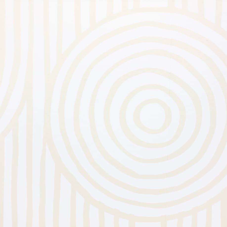 Aesthetic circle and lines