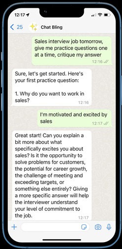 Chat Genie features 5