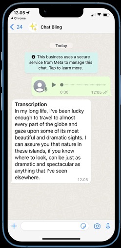 Chat Genie features 3