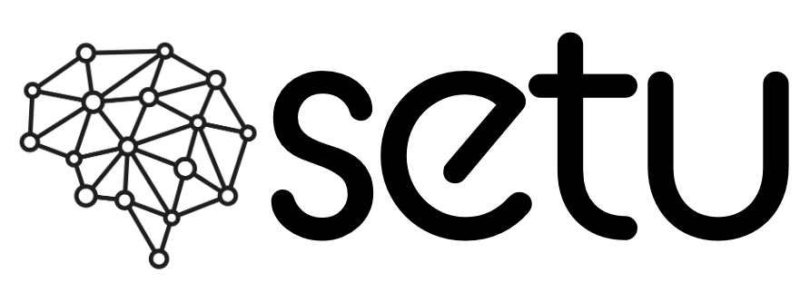 Setu Icon