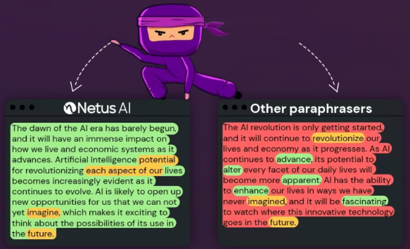 Netus Preview 2