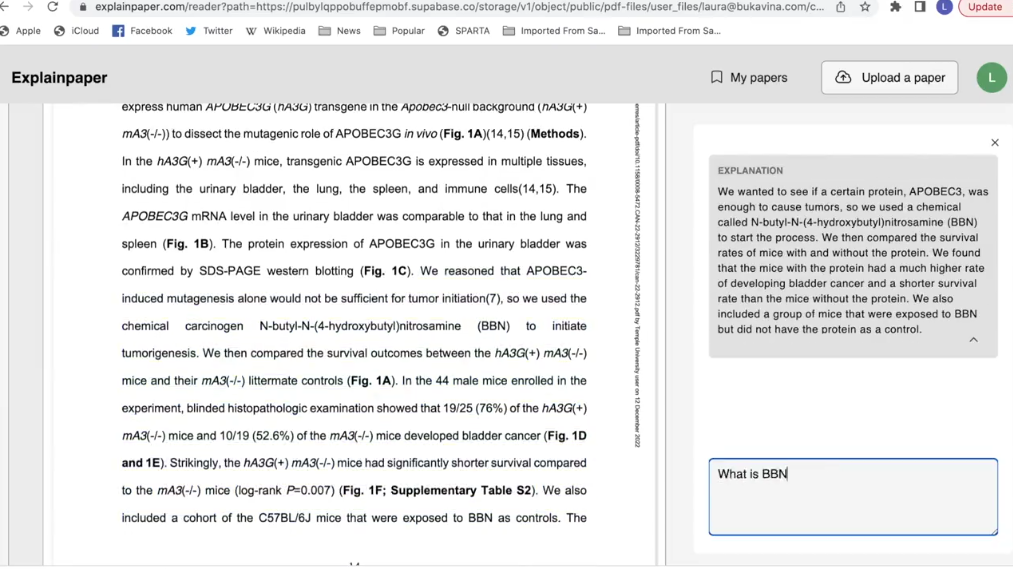 Explainpaper Overview