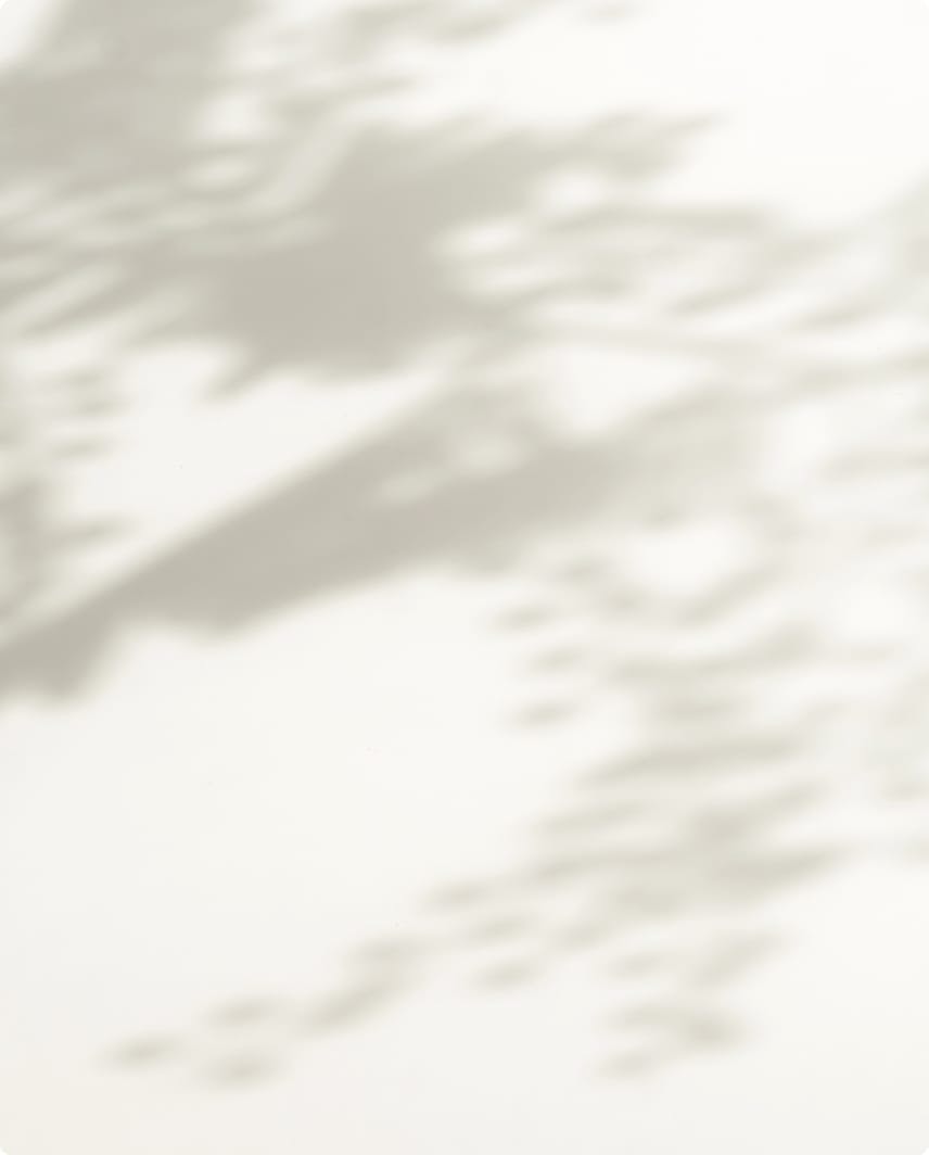 shadows of trees and leaves on a white wall