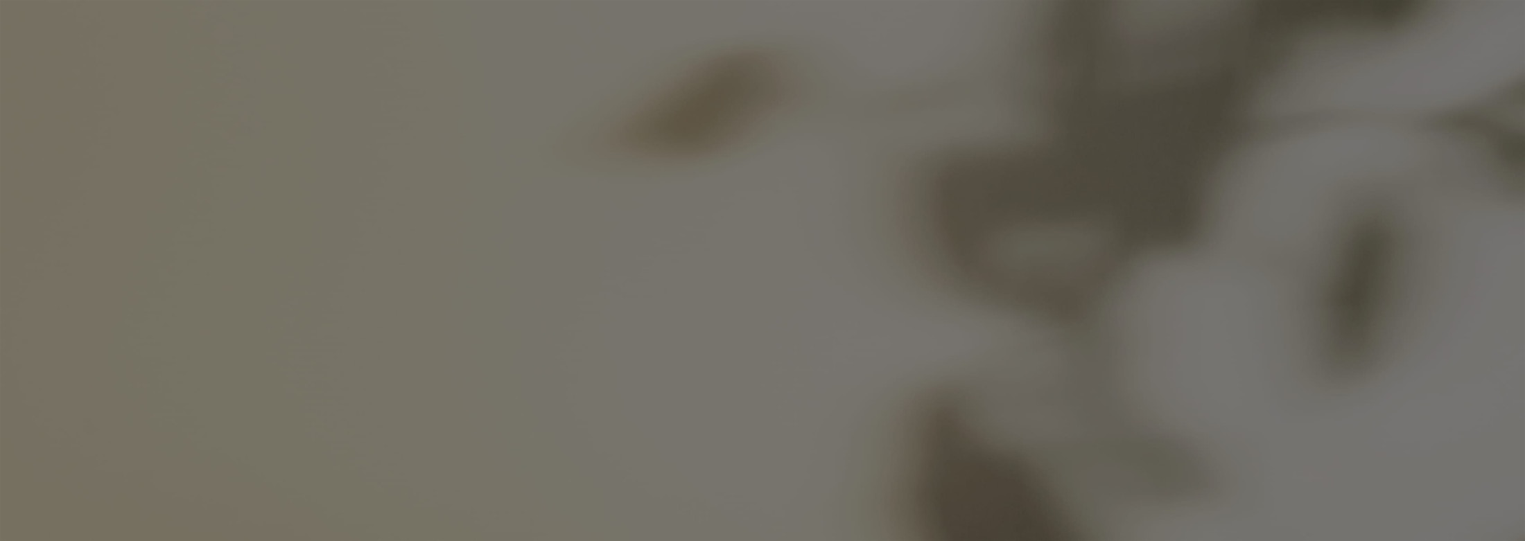 Banner media