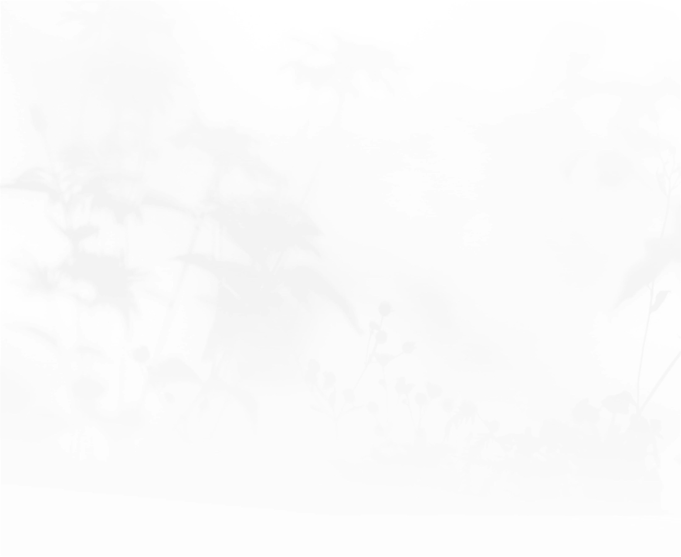 Banner media