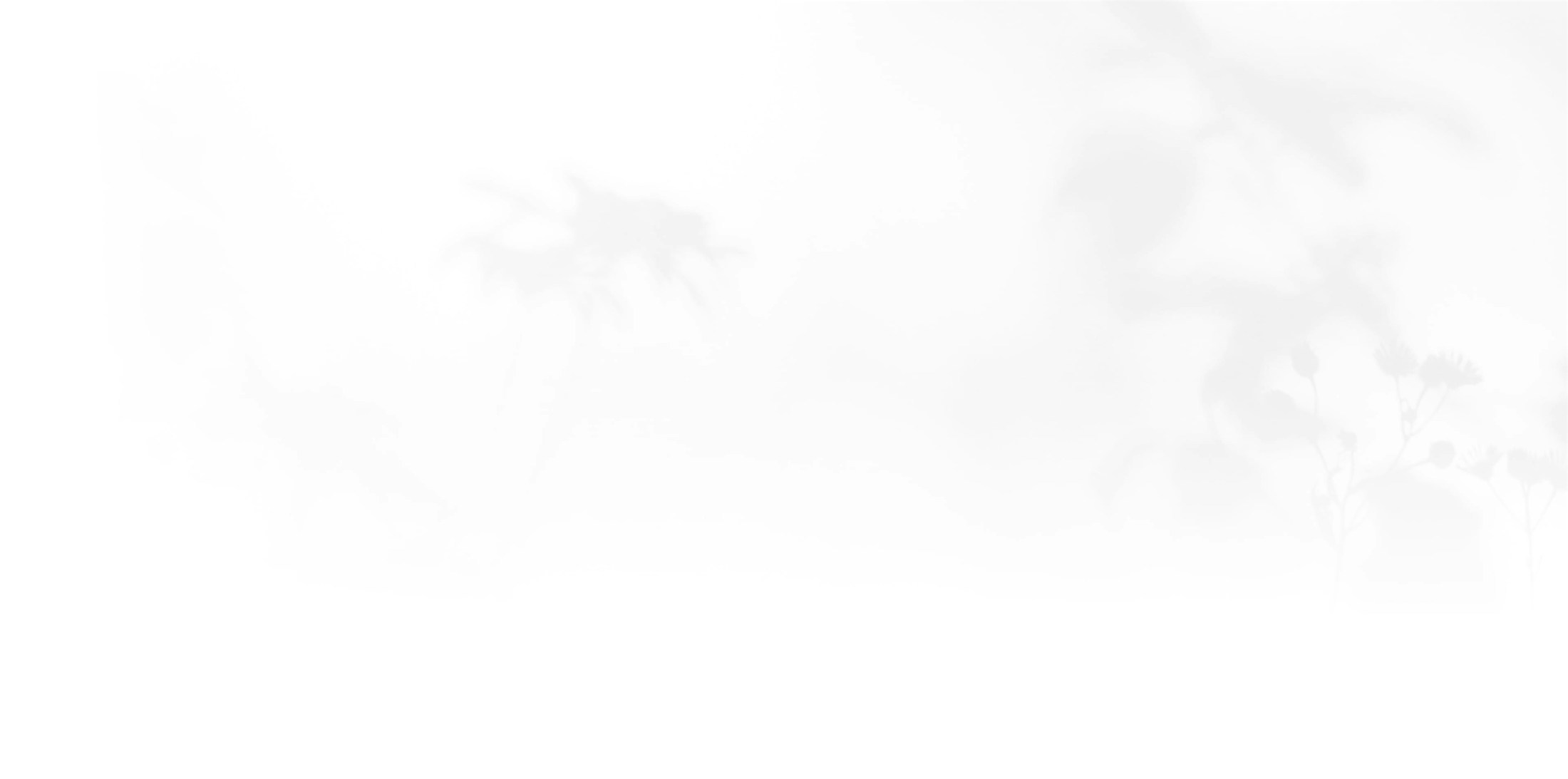 Banner media